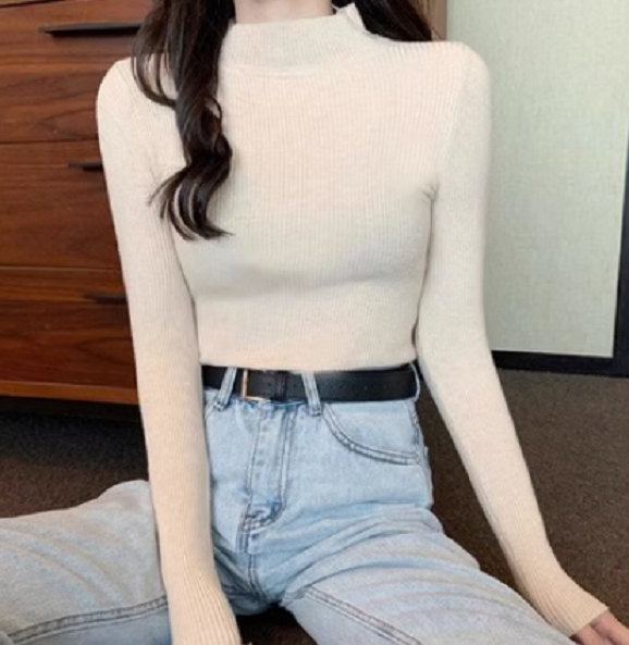 Layered Base Layer Slim Tight Turtleneck Knit Sweater (Apricot) (Size: One Size)