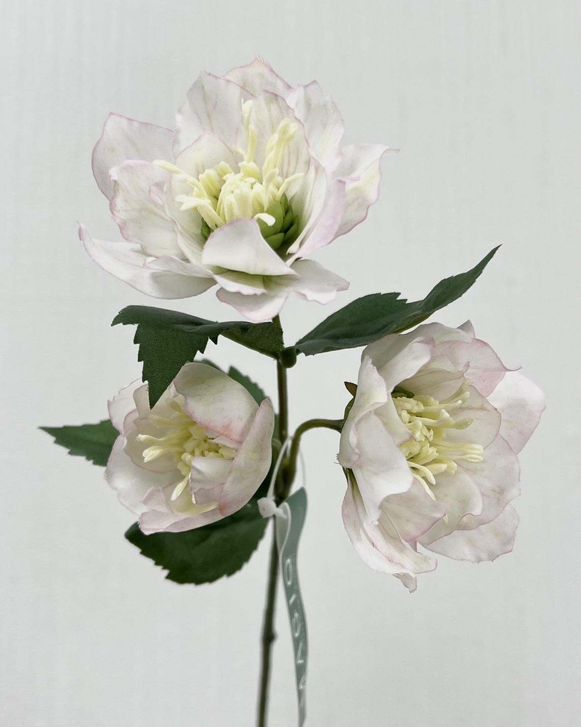 日本擬真花 聖誕薔薇 FM8151系列