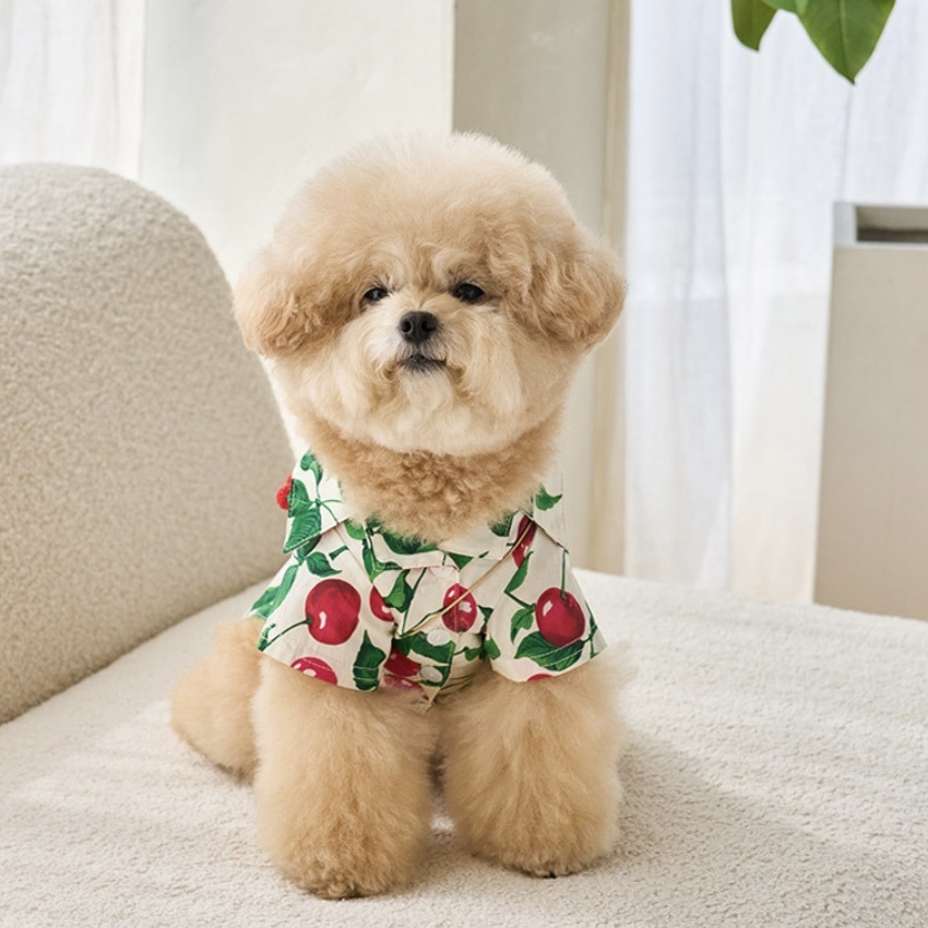 SunDress夏日花襯衫 (櫻桃) - It’s sunny outside