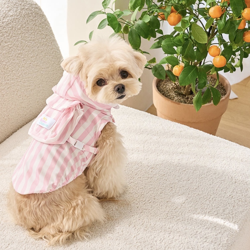 Windbreaker 夏季機能風衣-條紋粉- It’s sunny outside