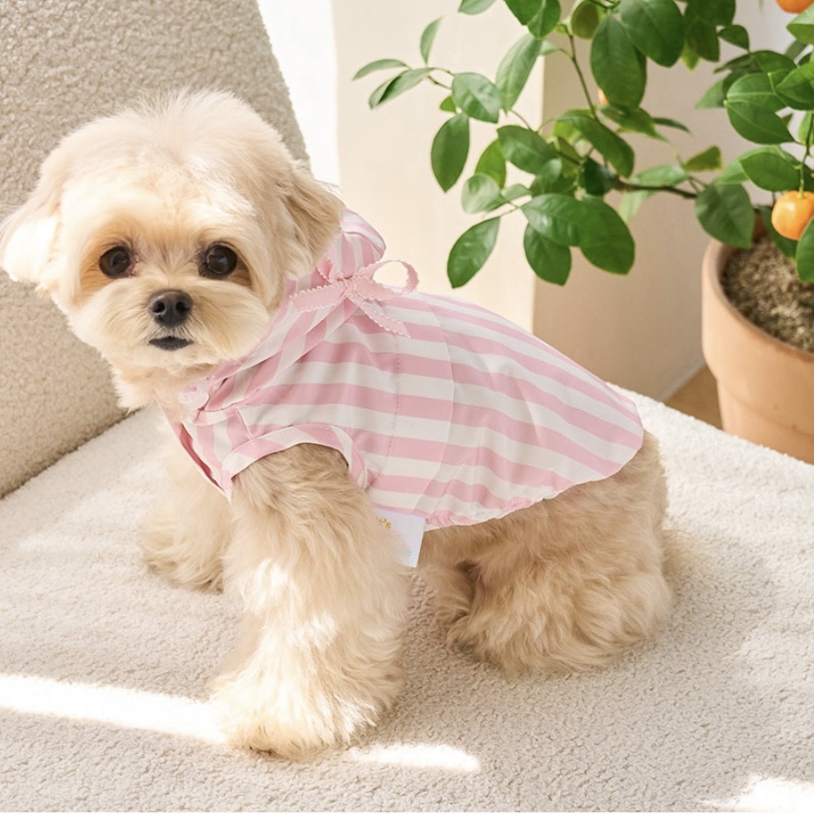 Windbreaker 夏季機能風衣-條紋粉- It’s sunny outside