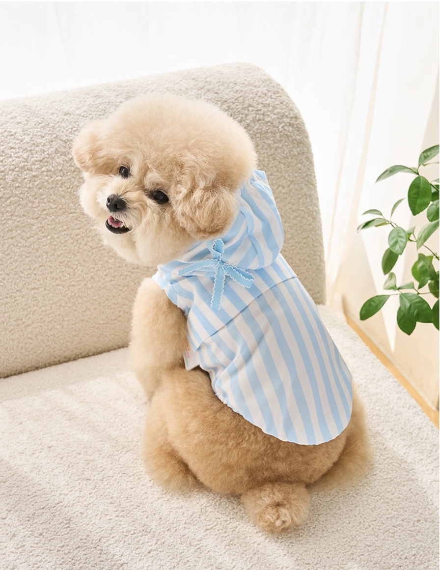 Windbreaker 夏季機能風衣-條紋藍- It’s sunny outside