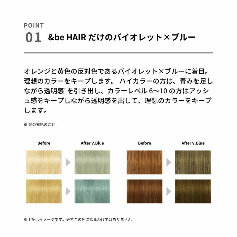 河北裕介 &be Color Shampoo V.Blue 280ml