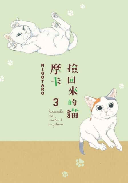 撿回來的貓  摩卡 (3)