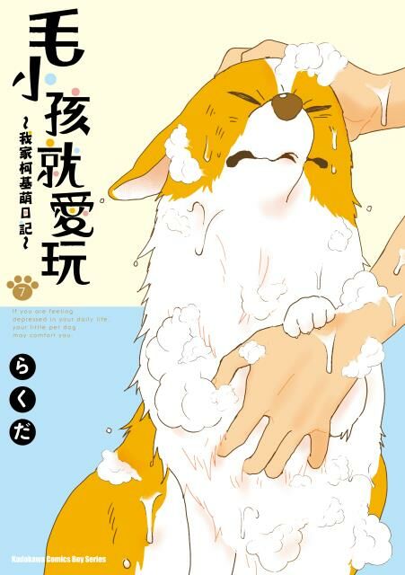 毛小孩就愛玩～我家柯基萌日記～ (7)