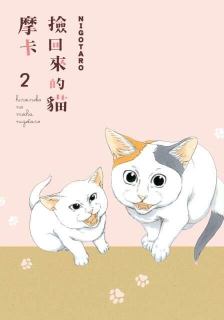 撿回來的貓  摩卡 (2)