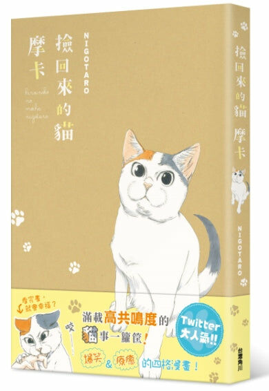 撿回來的貓  摩卡 (1)