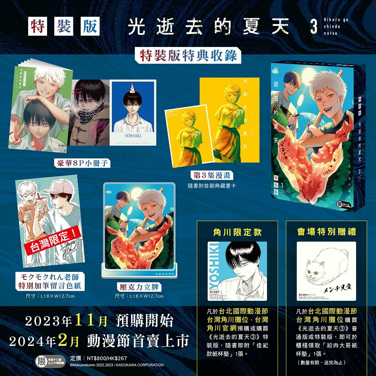 光逝去的夏天 (3)（特裝版）
