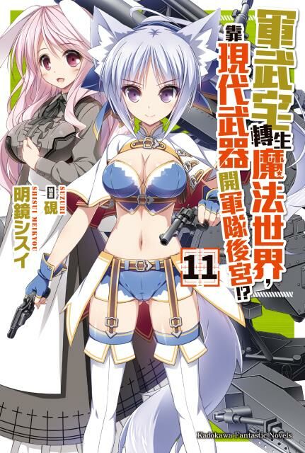 軍武宅轉生魔法世界，靠現代武器開軍隊後宮!? (11)