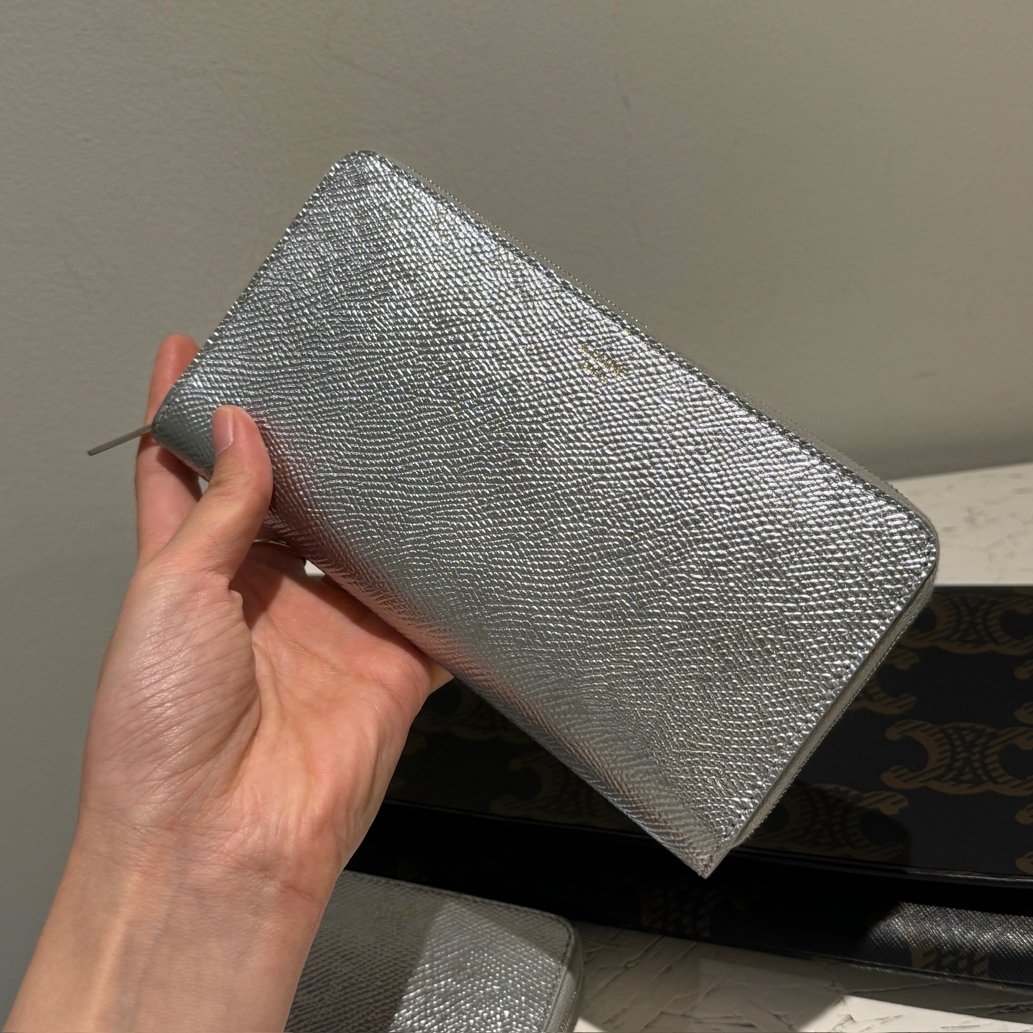 Celine Large Zipped Wallet in Silver