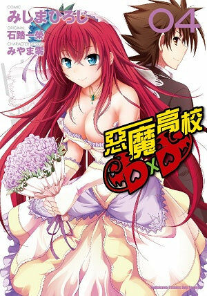 惡魔高校D×D (4)