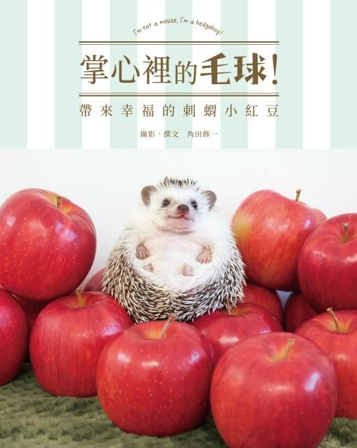 掌心裡的毛球！ 帶來幸福的刺蝟小紅豆