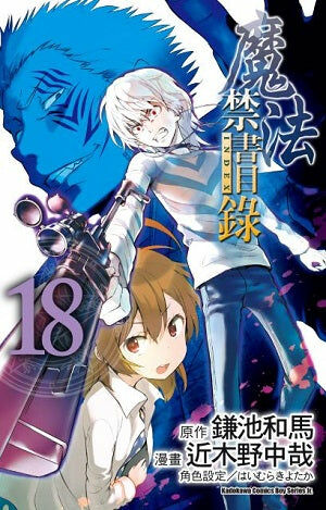 魔法禁書目錄 (18)