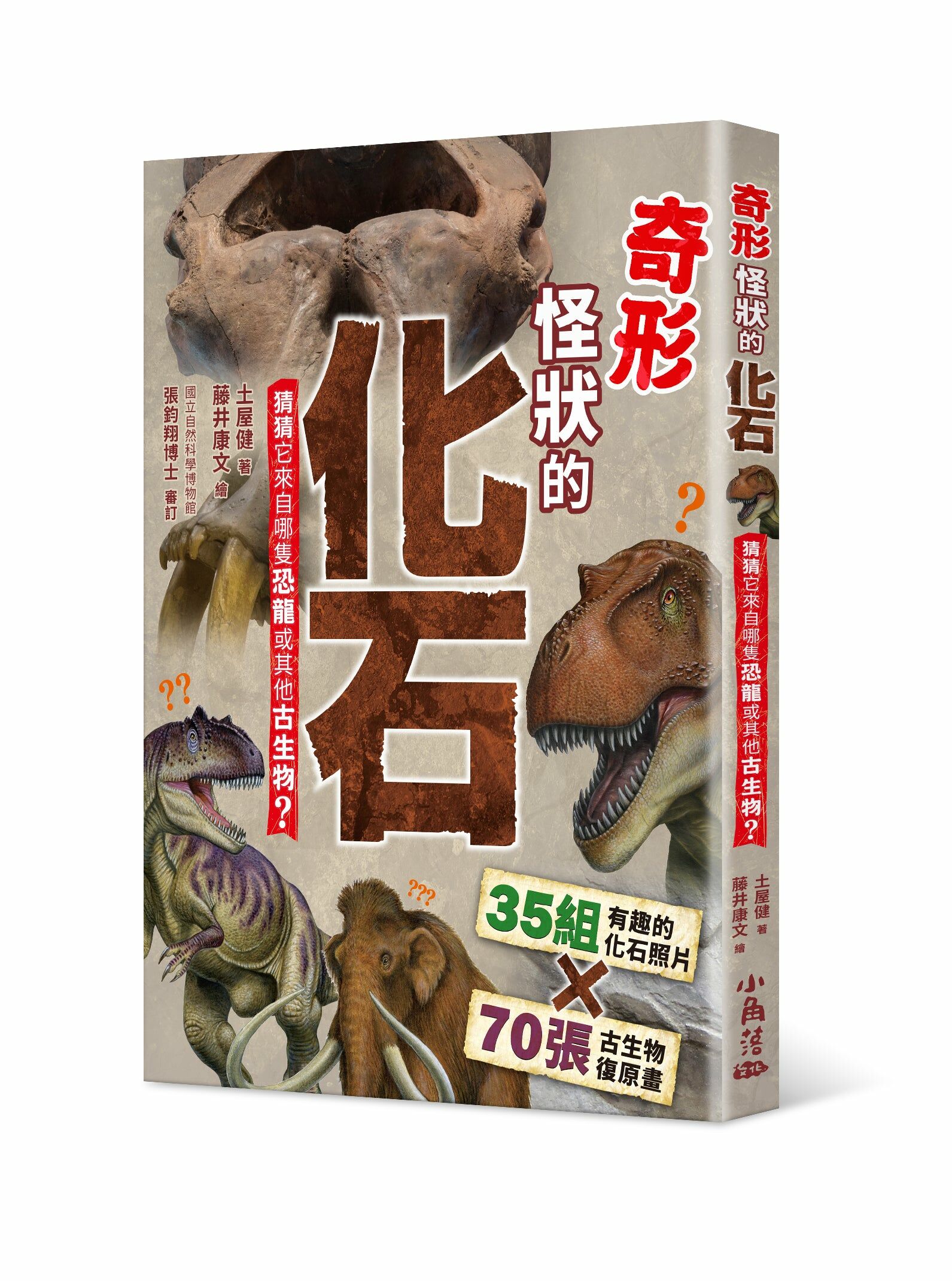 奇形怪狀的化石：猜猜它來自哪隻恐龍或其他古生物？