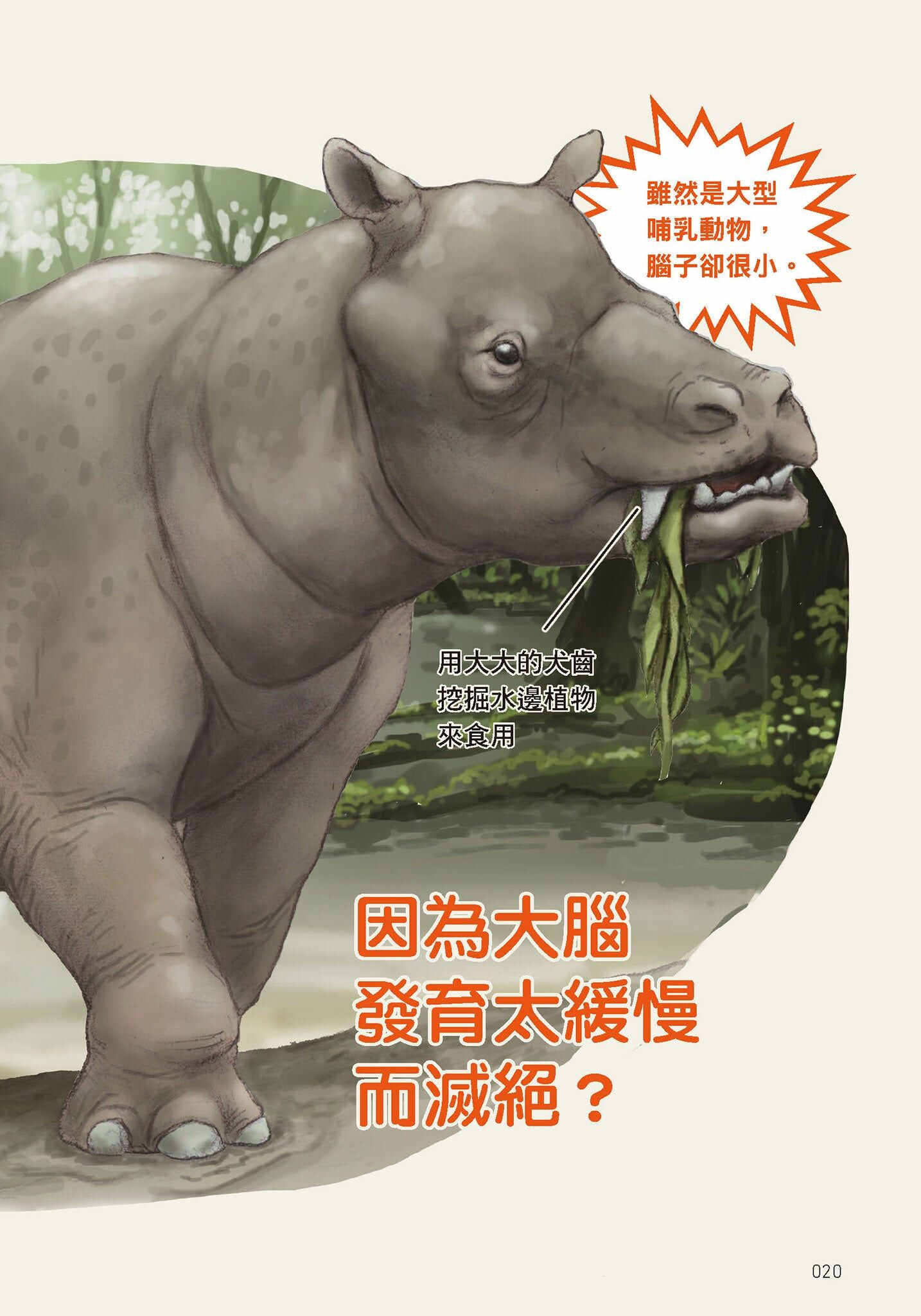 因演化而消失？滅絕動物知識小百科