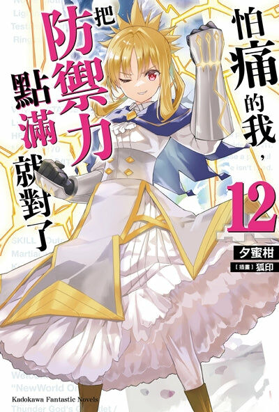 怕痛的我，把防禦力點滿就對了 (12)