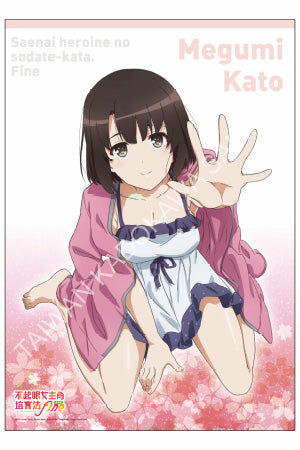 劇場版 不起眼女主角培育法 Fine 小掛軸 A