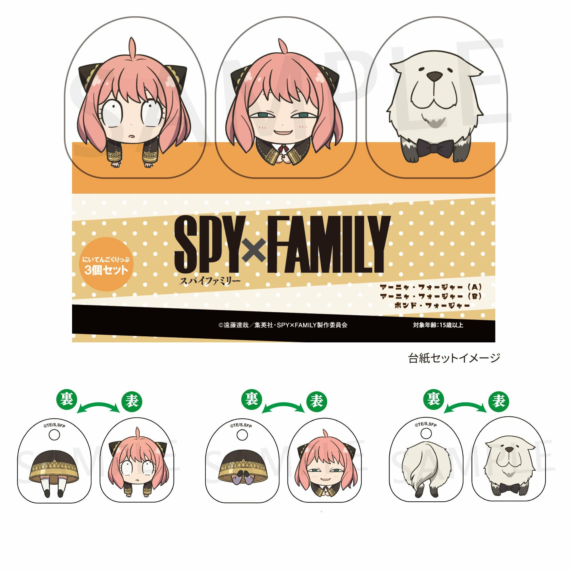 預購 - SPY×FAMILY 間諜家家酒　透明雙面圖案夾3個套組　安妮亞・佛傑(A)＆安妮亞・佛傑(B)＆彭德・佛傑【日本進口精品-2023/3月下旬】
