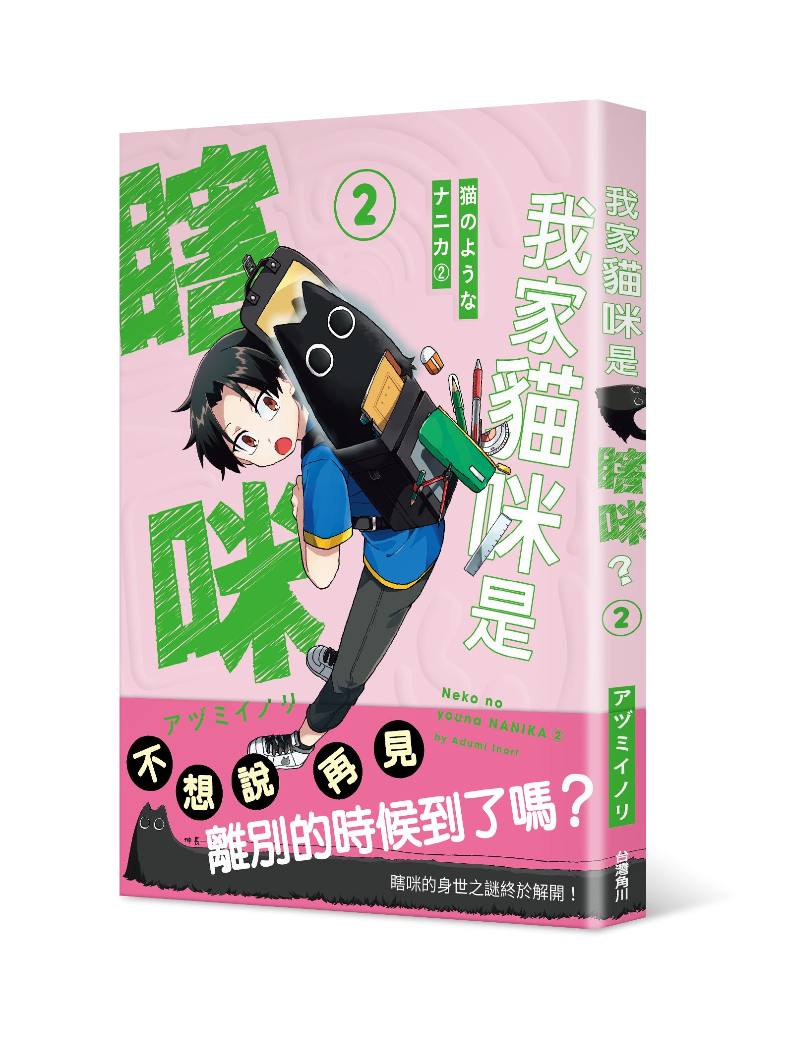 我家貓咪是瞎咪？２