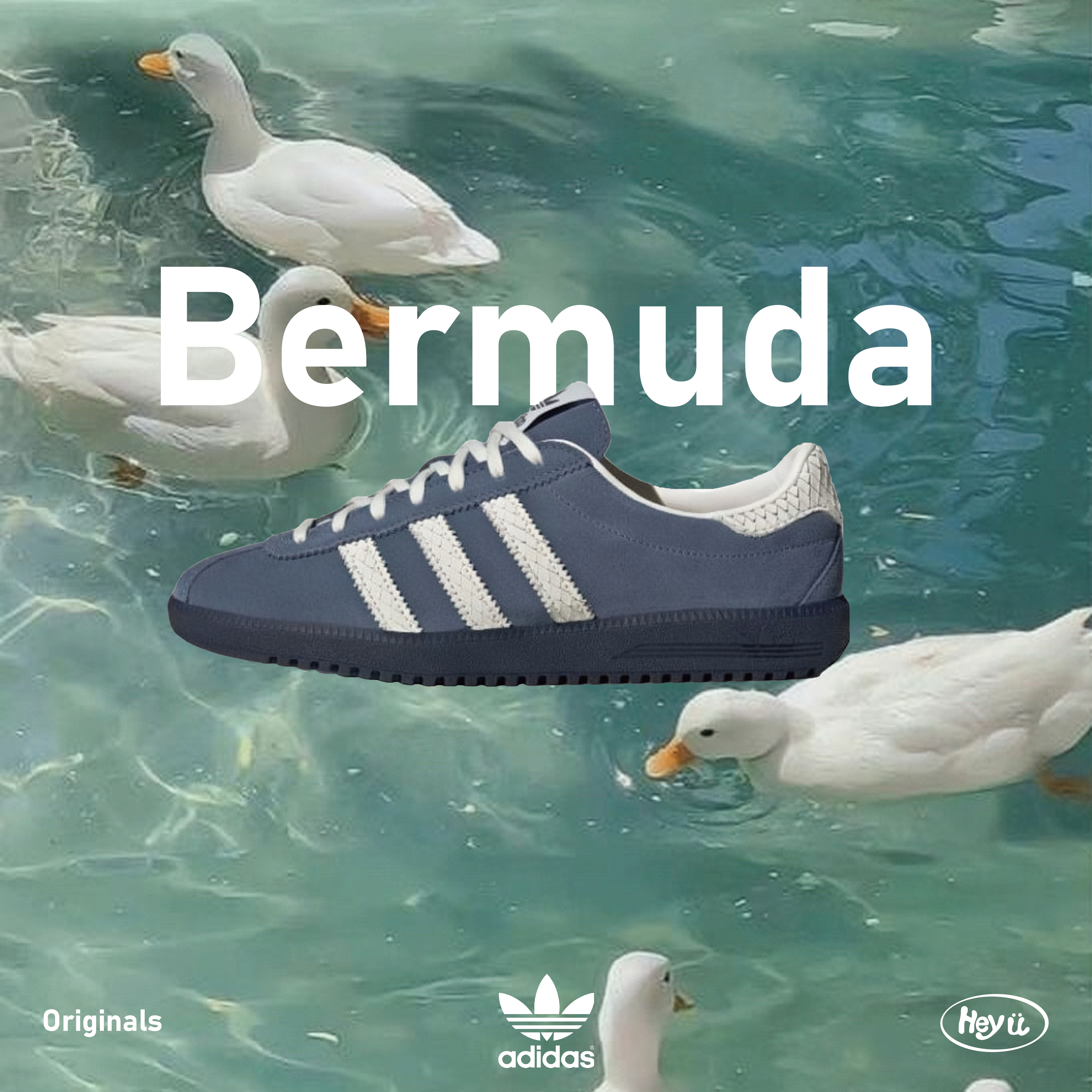 Adidas originals bermuda (白藍)