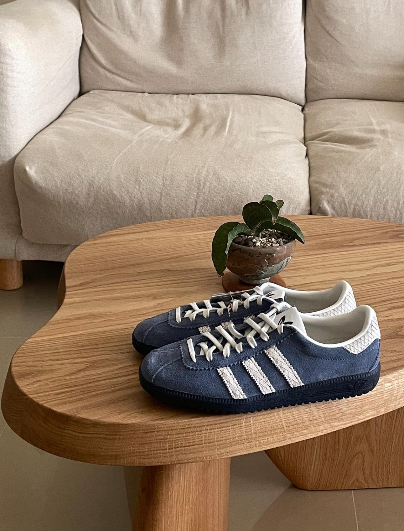 Adidas originals bermuda (白藍)