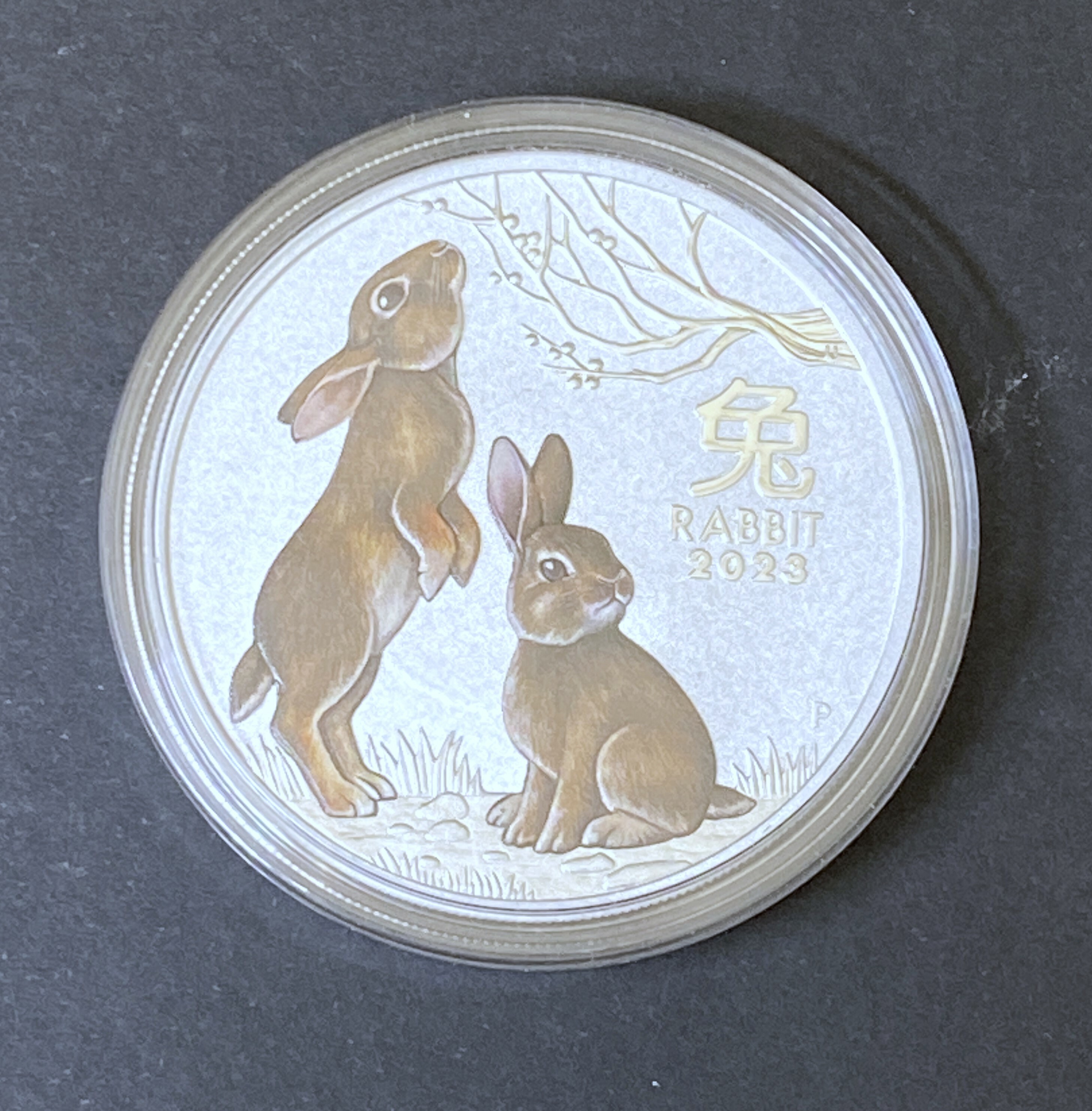 2023 Australia 1 oz coloured-rabbit silvery coin