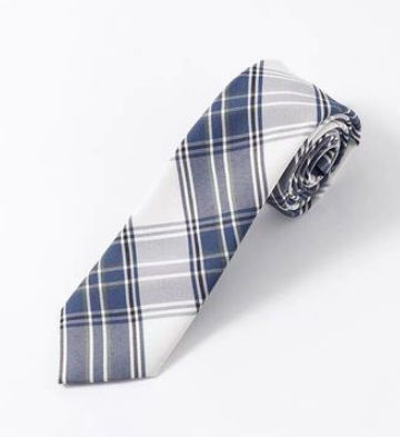 Plaid hand-tie accessory (blue and white) (one size)