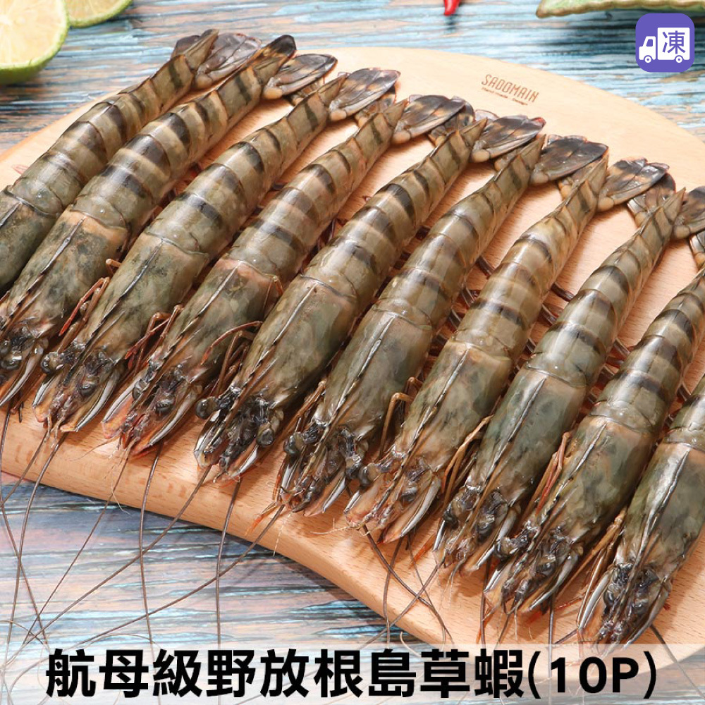 佐佐鮮- 航母級根島生態草蝦(10P) (800g)