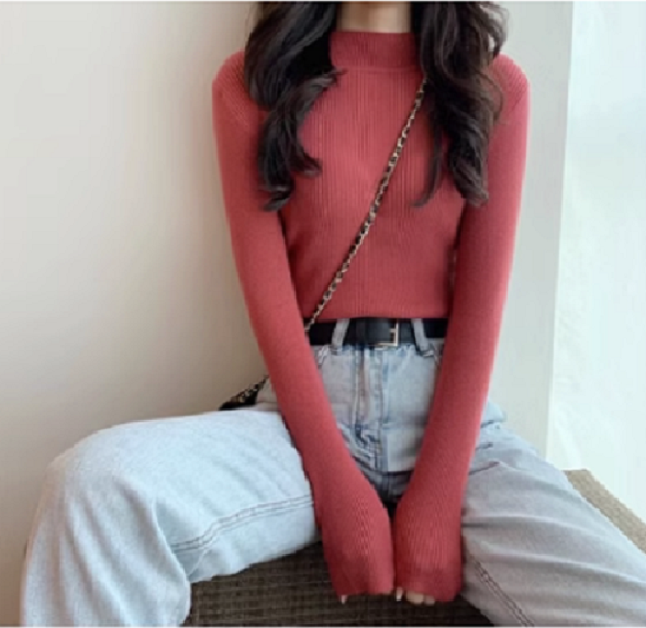 Layered Base Layer Slim Tight Turtleneck Knit Sweater (Brick Red) (Size: One Size)