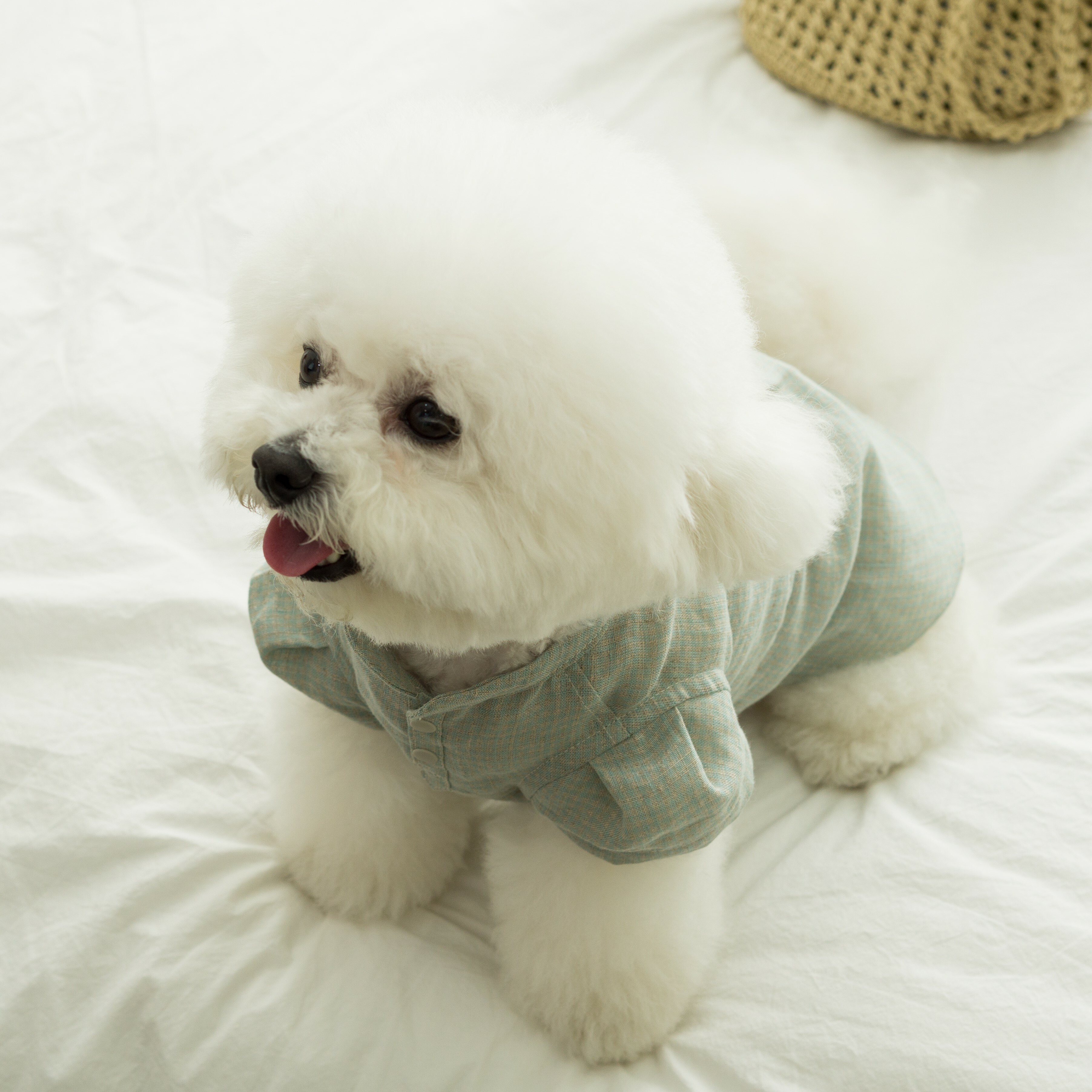 OWWW STUDIO 薄荷有機亞麻上衣