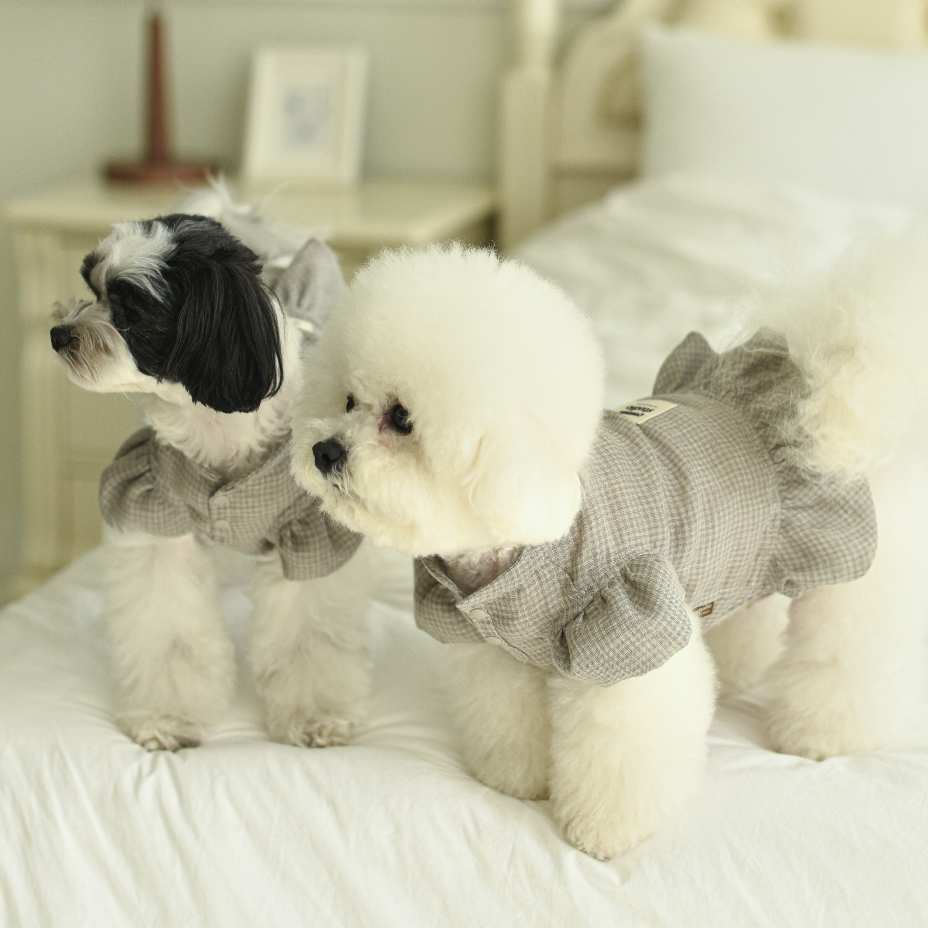 OWWW STUDIO 灰色有機亞麻裙