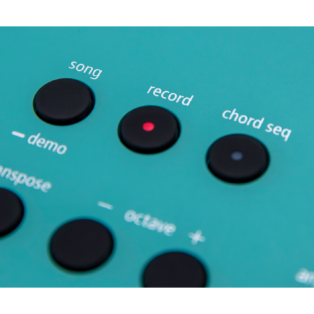 Roland Roland / GoKeys3 61鍵攜帶型數位鋼琴(內建伴奏)(藍/綠/紅) 第 3 張圖片｜三峽鍵盤 / 鋼琴