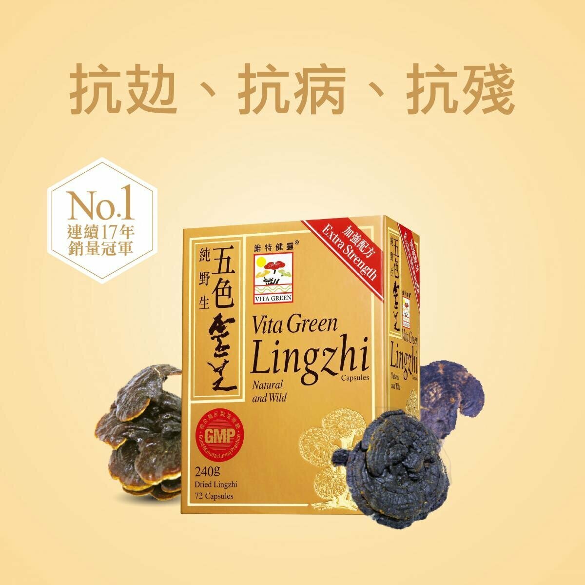 VITA GREEN 維特健靈 五色靈芝 72粒 新舊包裝隨機出貨
