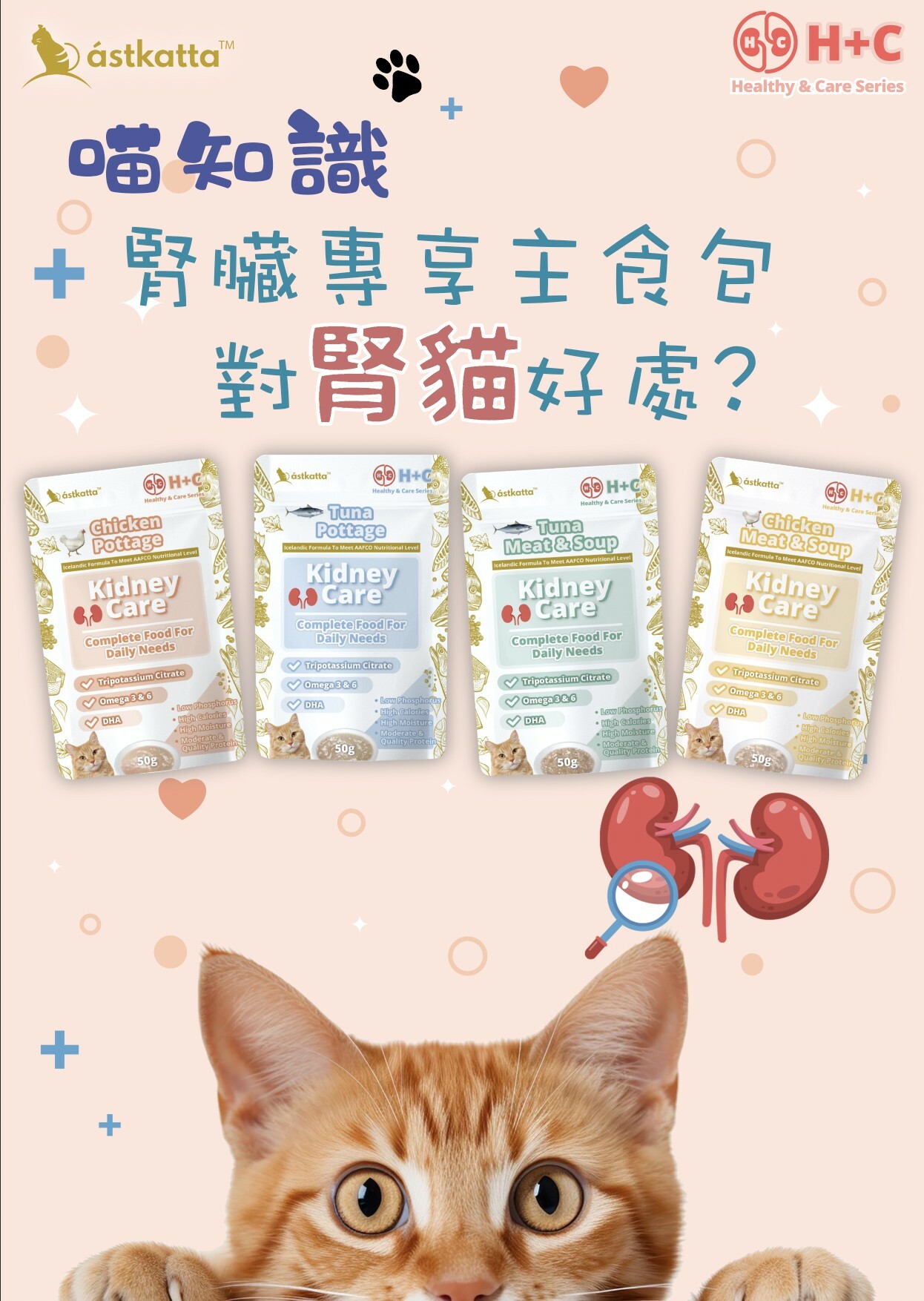 Astkatta 冰島腎臟主食包 50g