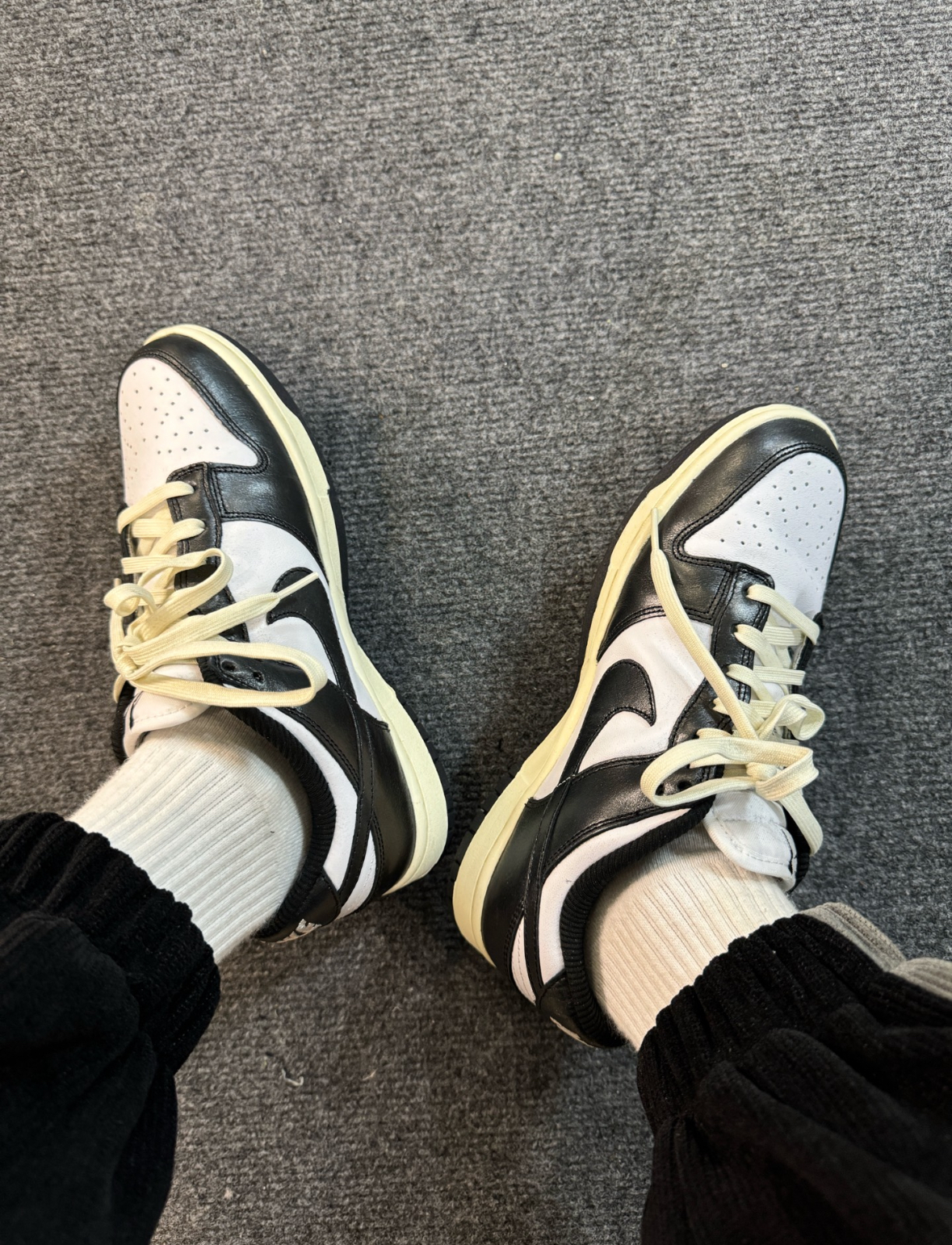 Nike Dunk Low 奶油熊貓 奶油底 黑白 皮革 FQ8899-100/預購