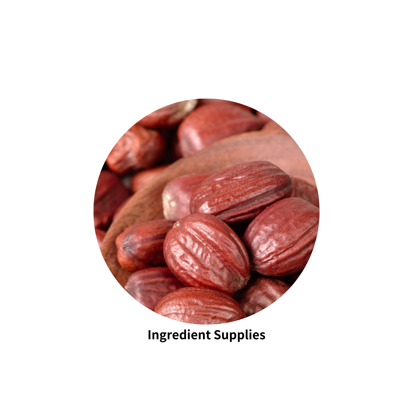 Jojoba Oil 荷荷巴油