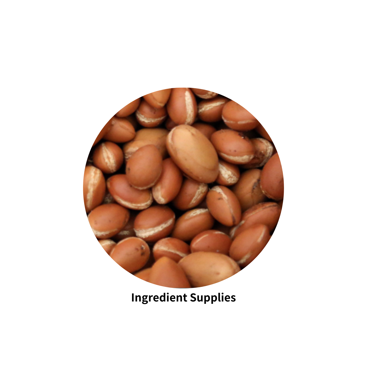 Argan Oil 摩洛哥堅果油