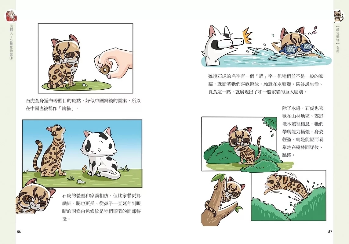 笑翻天1分鐘生物課(3)：【哺乳動物】這次是小隻一點的！笑～哈～哈(一樣是漫畫喔)