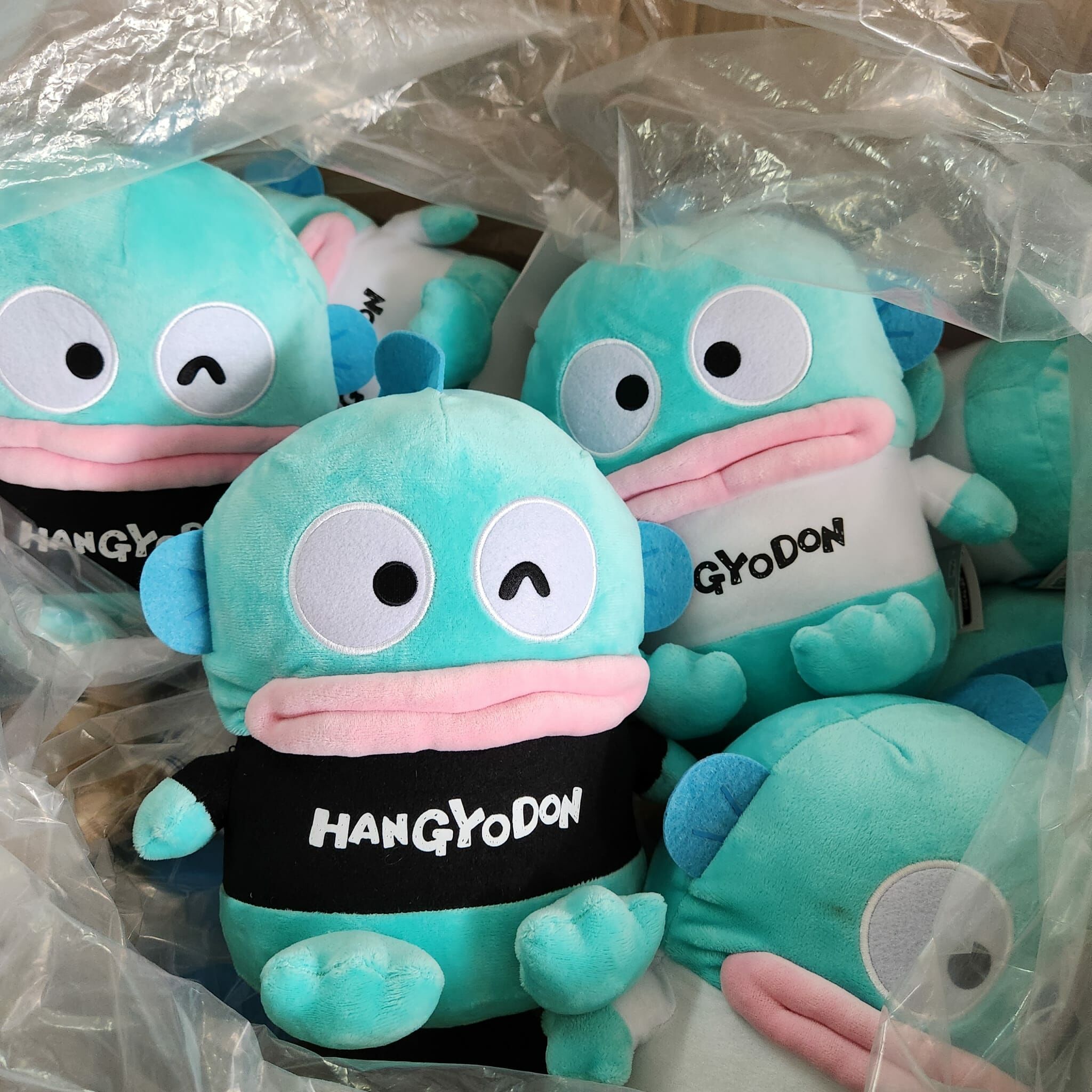 日本直送 難兄難弟 水怪（1對，1黑+1白）