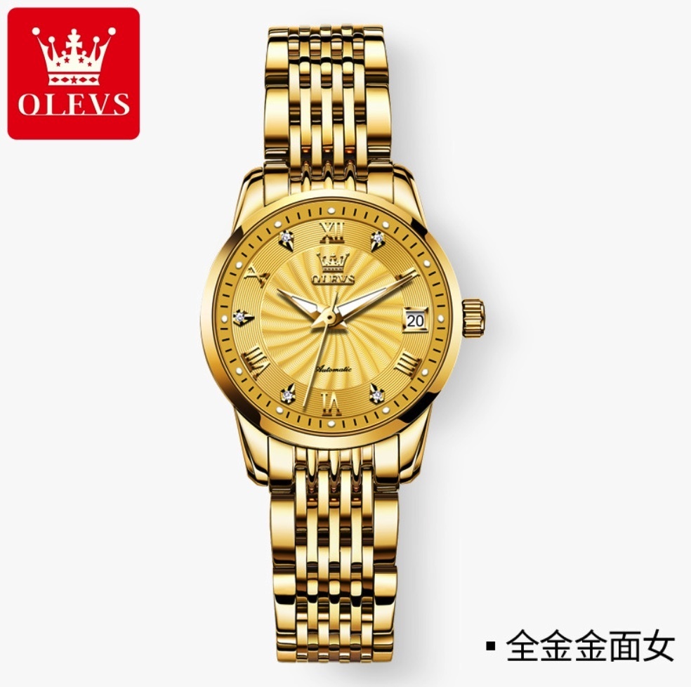 Hot selling Oris diamond-set British watch simple niche ladies watch (steel band full gold women's model)