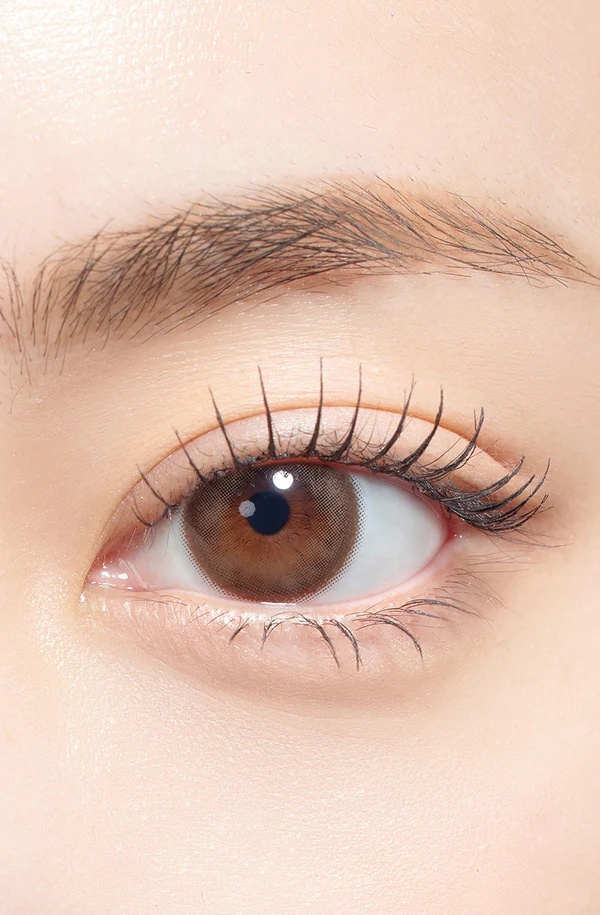 Sugar High Kristin 1 Day(Ash Choco)(10片)