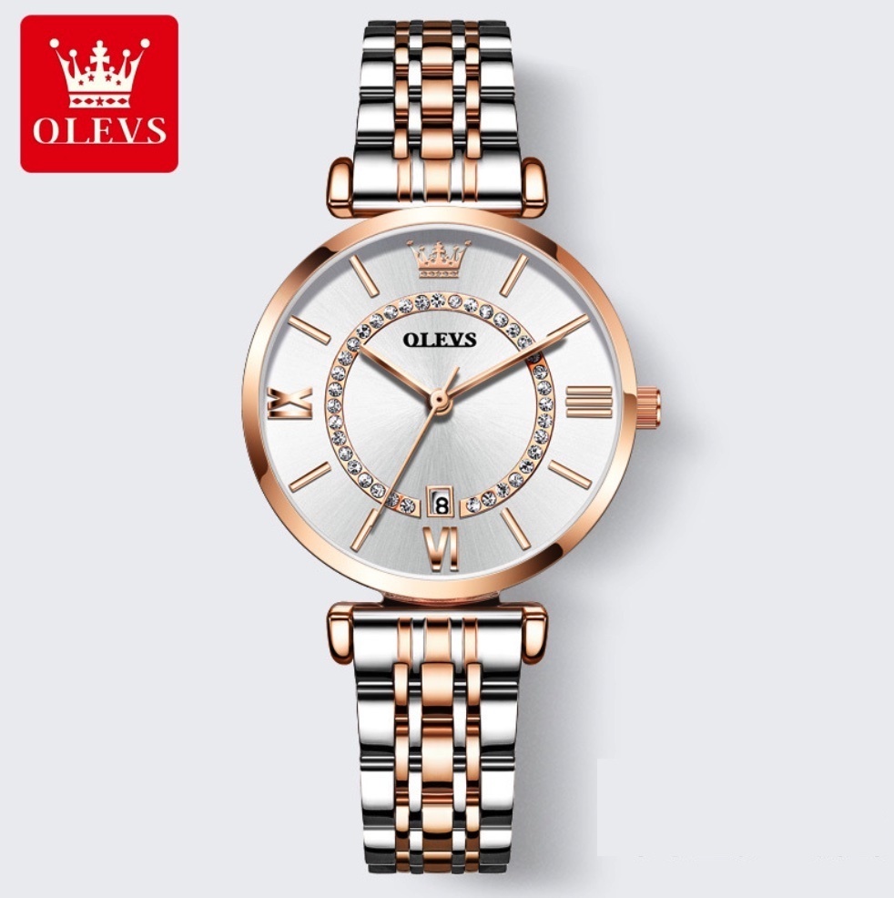 Hot Selling Oris Gypsophila Women's Watch (Rose Gold Roman Face between Steel Bands for Women)