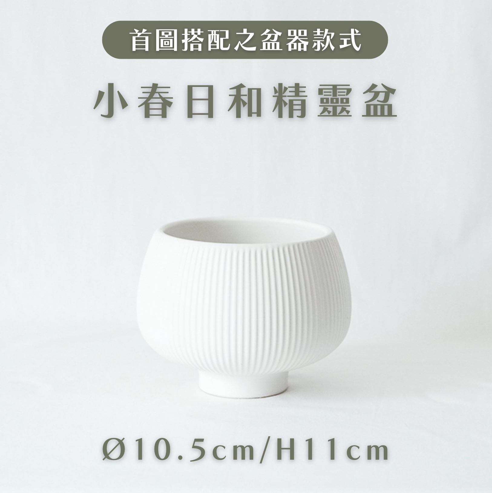 【聯名限定】奢緞蔓綠絨 Ｘ 英國Teapigs四季機能茶