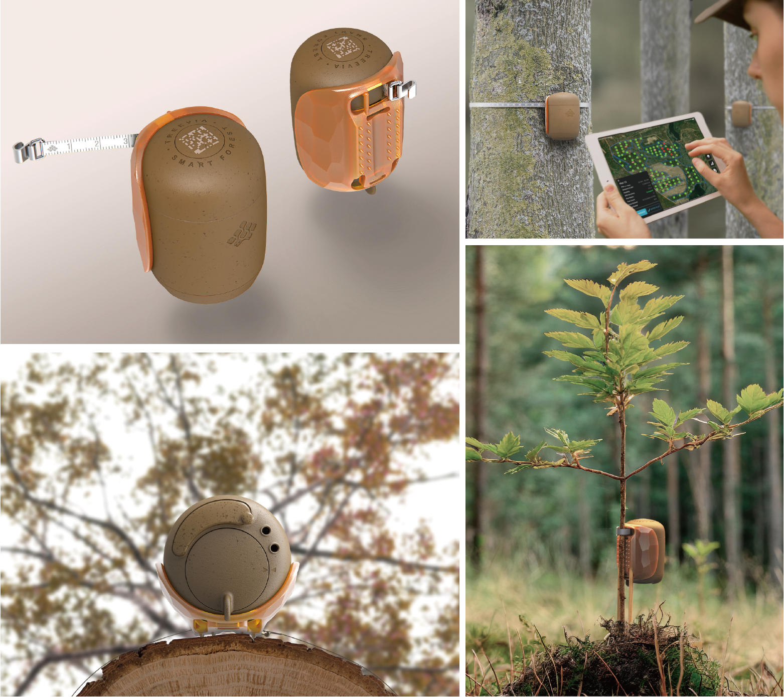 2024年 iF 設計獎金質獎獲獎－Treevia - Smart Forest