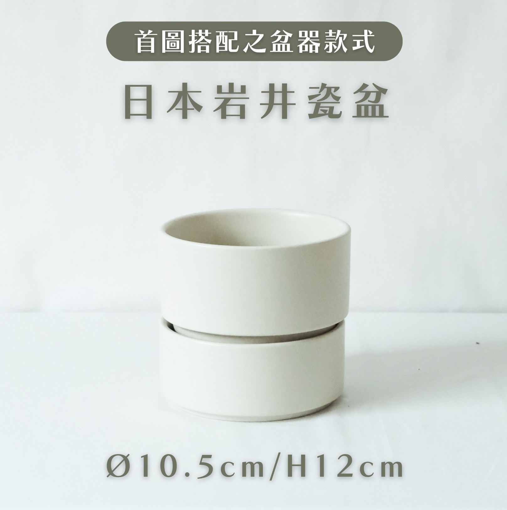 【聯名限定】日本實生小豆樹ＸBlue Bottle清澄白河限定杯