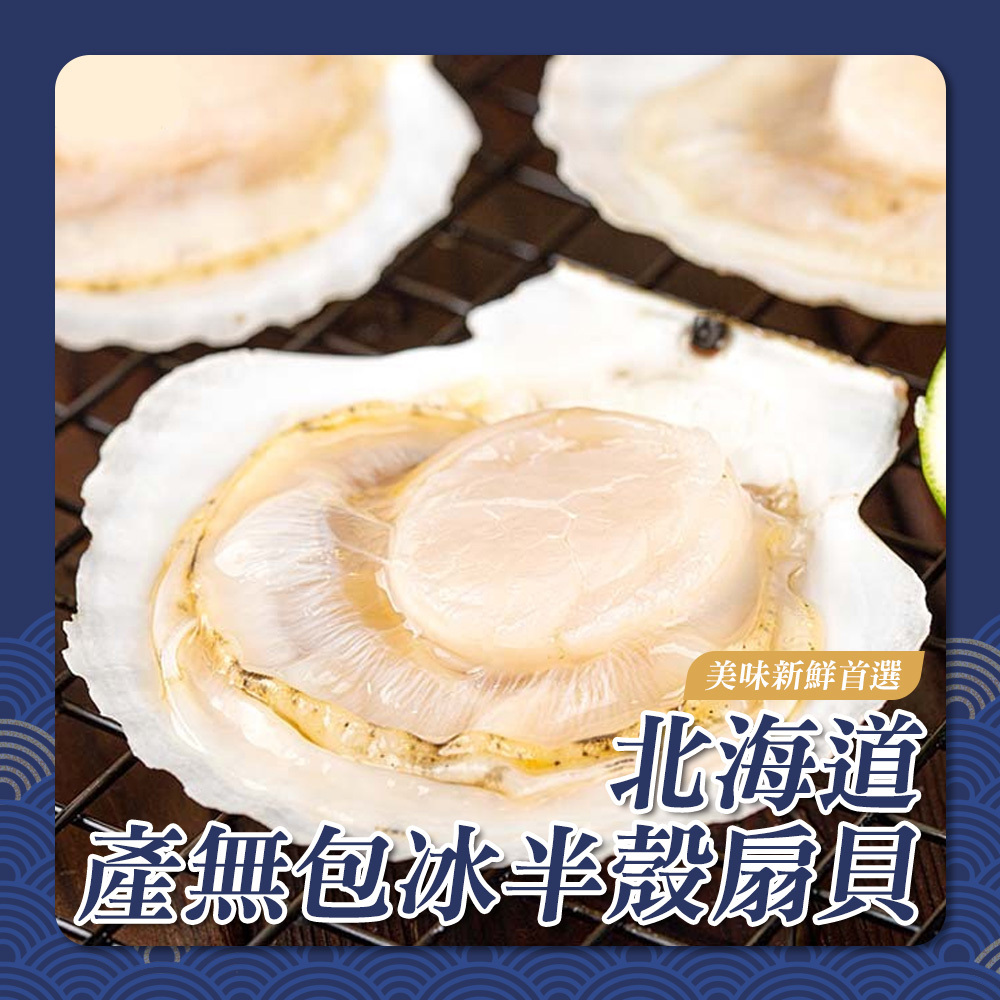 北海道產無包冰半殼扇貝