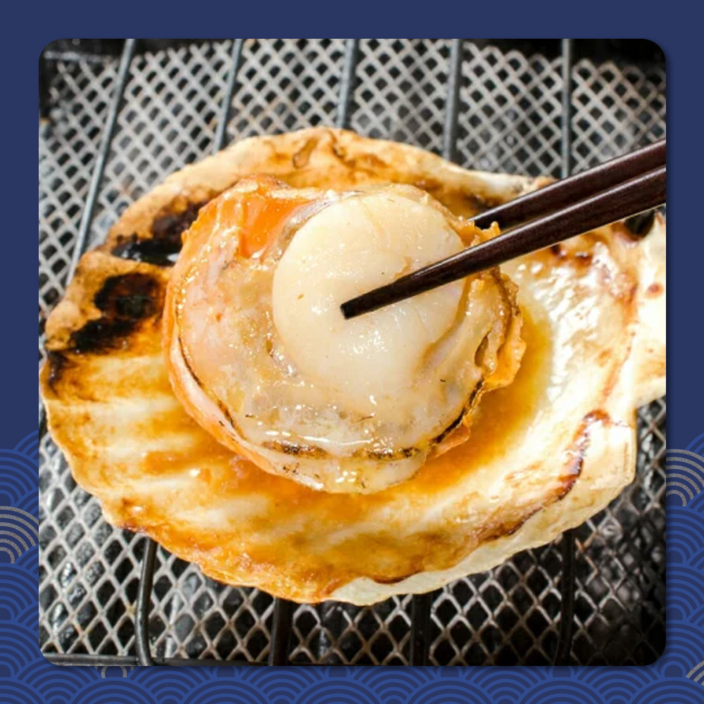 北海道產無包冰半殼扇貝