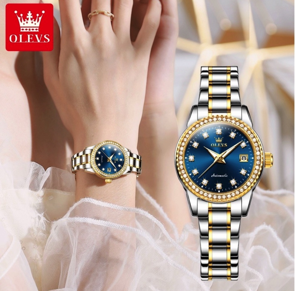 Hot selling Oris mechanical watch ladies watch (blue lady between steel bands)