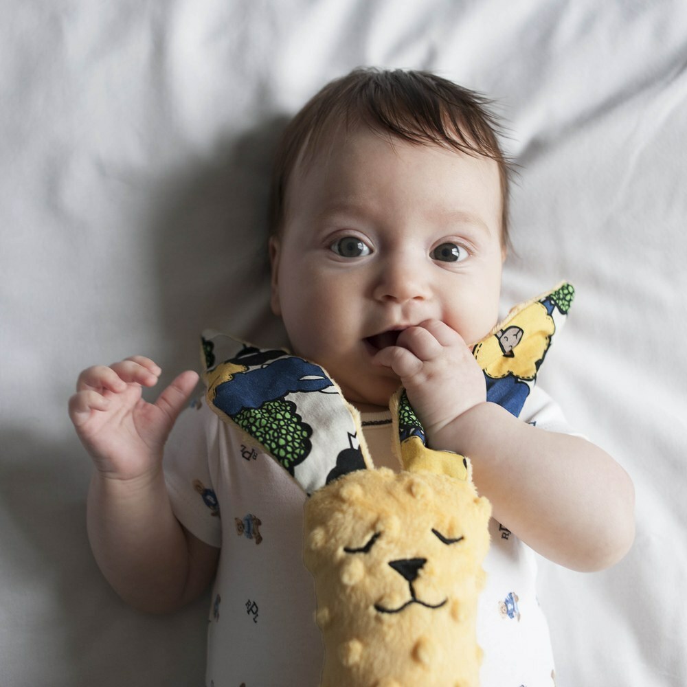 La Millou波蘭 豆豆安撫兔加大｜蒙地卡羅藍