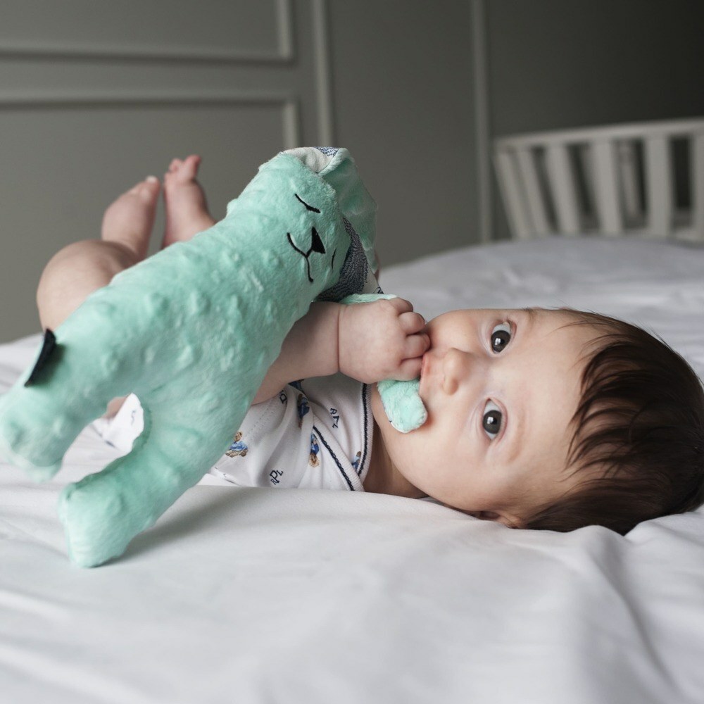 La Millou波蘭 豆豆安撫兔加大｜雲朵白